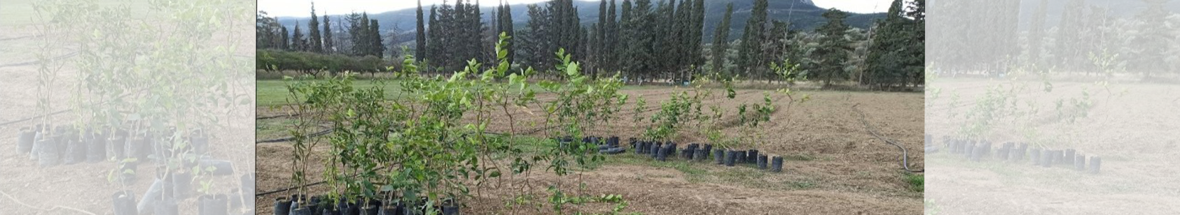Προσφορά στον Αγροτικό Τομέα